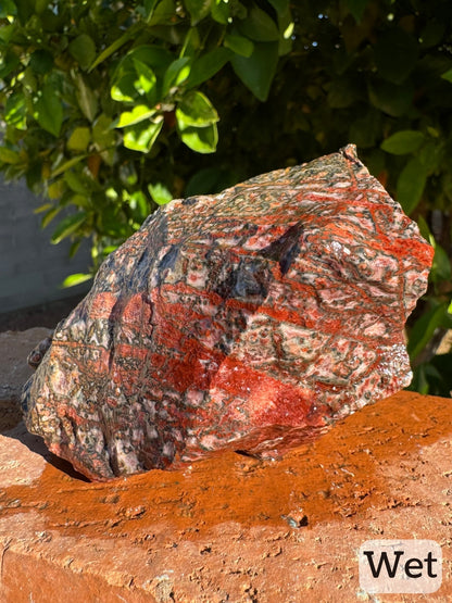 Captioned "wet," a view of two sides of the piece wet. They have thick bold red stripes running diagonally across them.