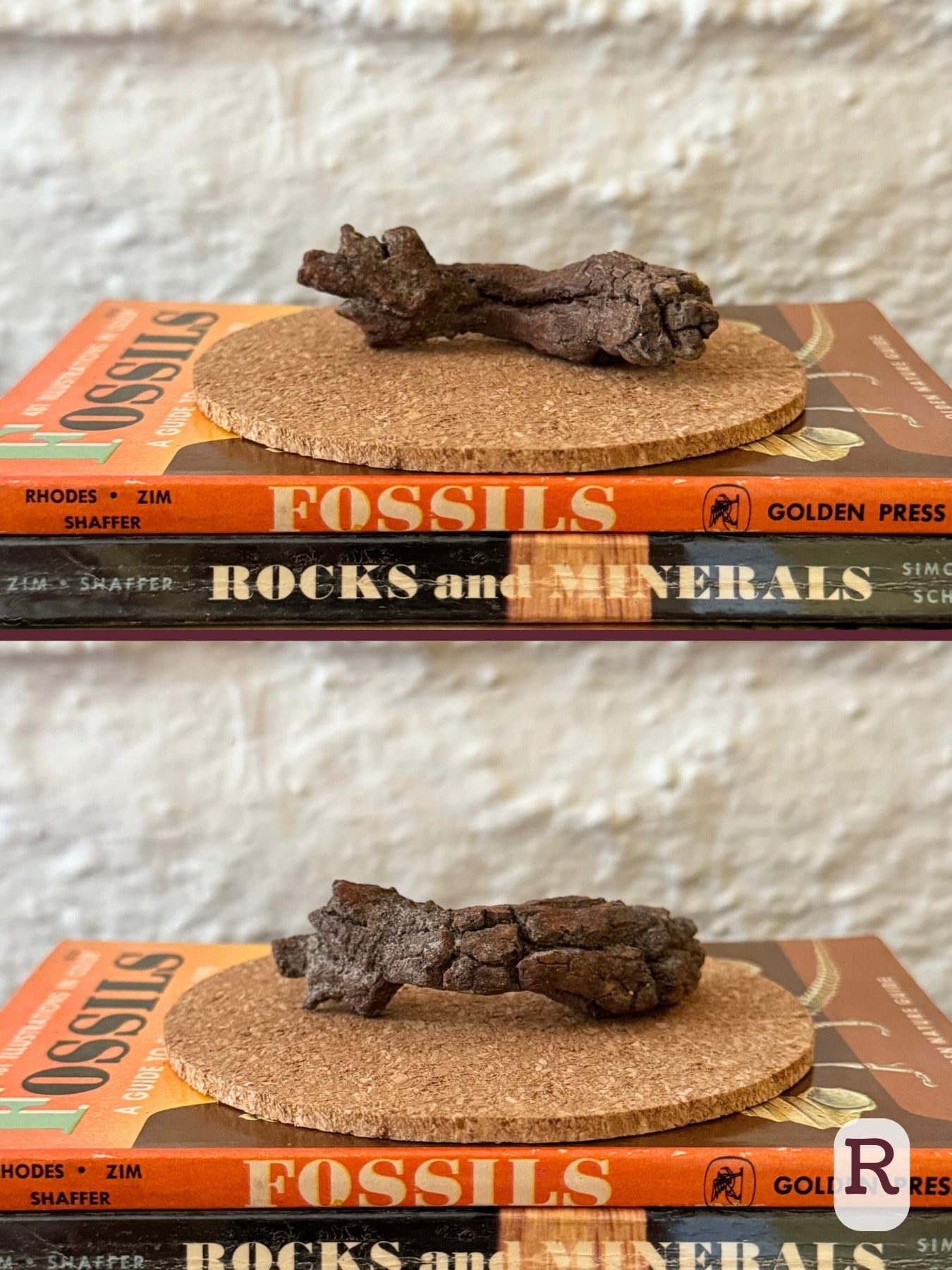 Option R, two views of an irregular long coprolite that looks stretched in the middle, with one flat end and one split end. Dark brown color.