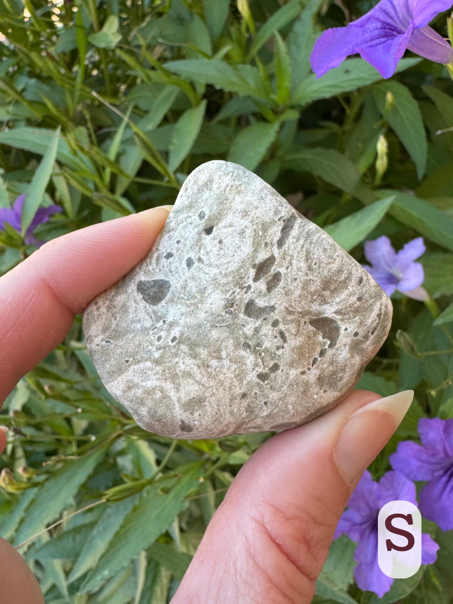 Option S, and irregularly-shaped rock that is white with greenish-gray swirl patterns, and darker gray spots