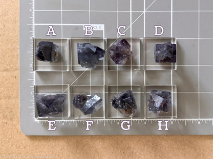 Options A through H on a measuring mat for scale. The clear acrylic squares thy are mounted on are all one and a quarter inches square, with the specimens varying from about two thirds of an inch to one inch in size. Options B and E appear the largest, and A and D the smallest.