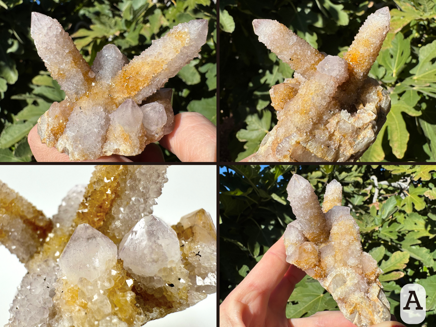 Option A, four views of a cactus cluster with two main points at right-angle to each other, and several smaller points. The piece is largely off-white with areas of yellow-brown iron staining, and some small black iron spots.