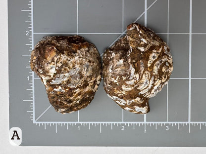 Option A: Scale image of the geode pair face-down on a measuring mat, measuring approximately one and three quarter inches in diameter.