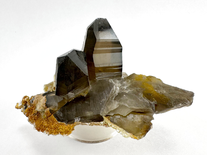 A pair of deep brown smoky quartz crystals on a flat base of a partial smoky quartz crystal on its side and shattered in areas. The largest point has excellent striations and wavy angles to the broadest face.