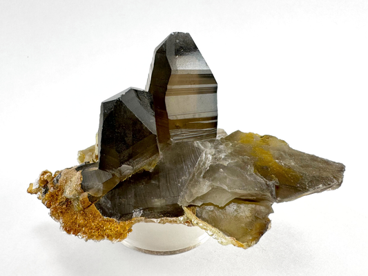 A pair of deep brown smoky quartz crystals on a flat base of a partial smoky quartz crystal on its side and shattered in areas. The largest point has excellent striations and wavy angles to the broadest face.