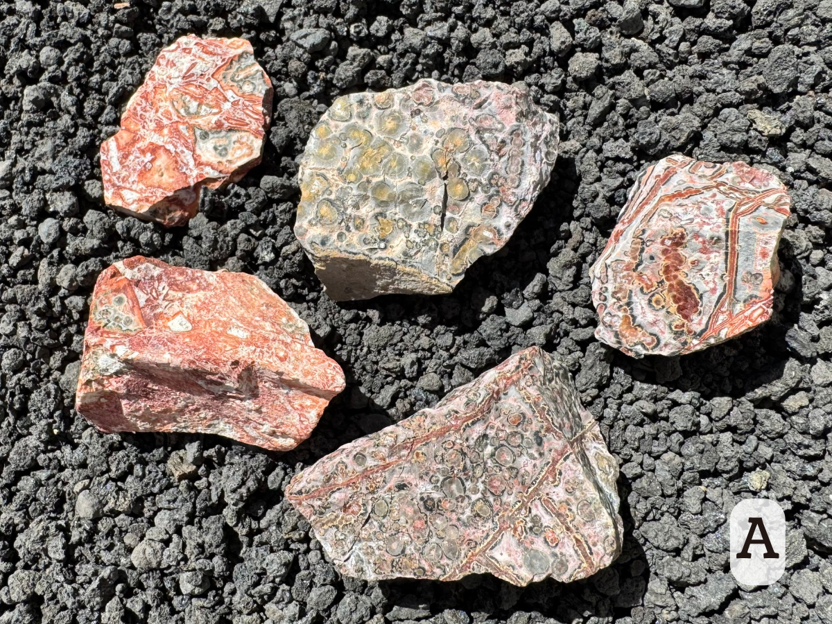 Option A, five pieces of rough. One is typical yellow leopardskin pattern, and the other four are different tones of red with orange, pinkish, gray, and white. Several have well-defined banding.