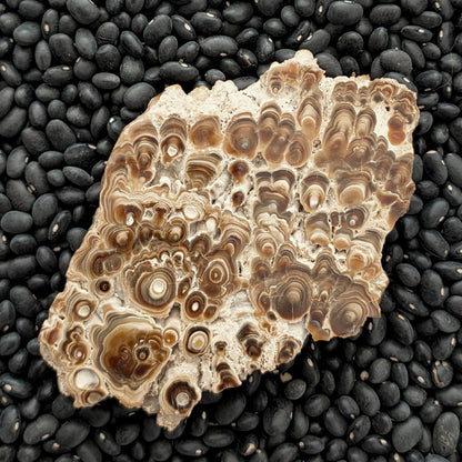 Aragonite cave formation, polished slice (large)