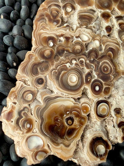 Aragonite cave formation, polished slice (large)