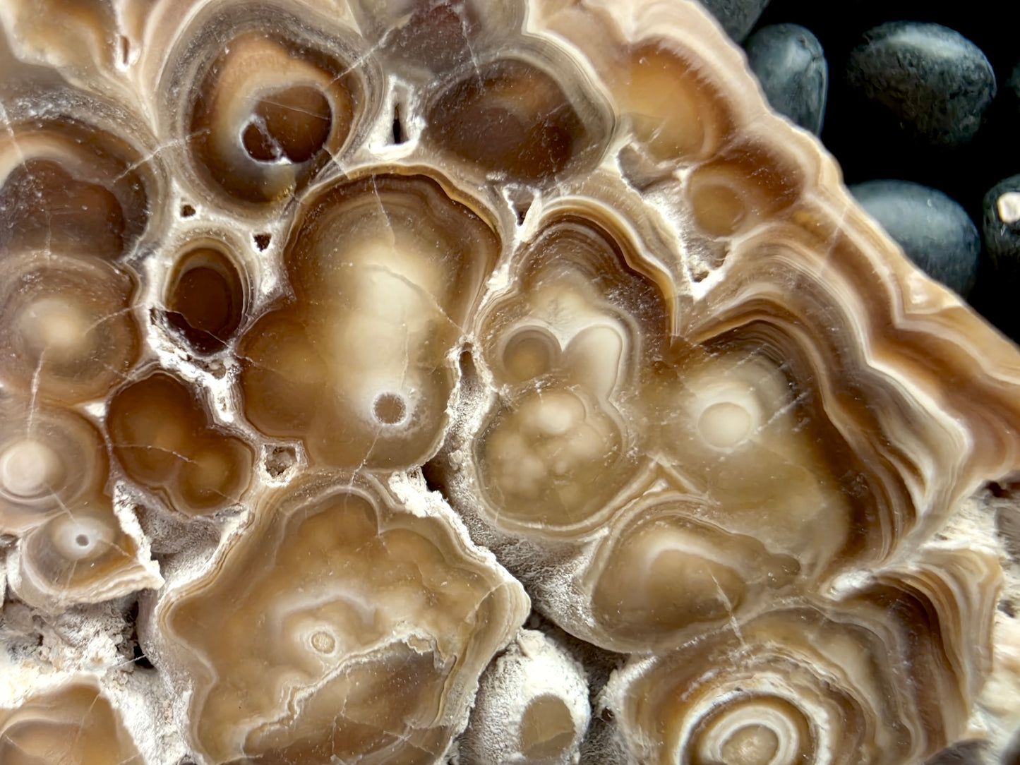 Aragonite cave formation, polished slice (large)