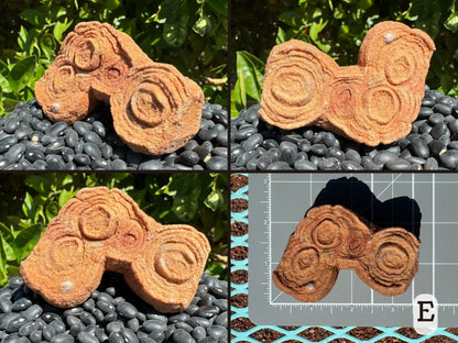 Option E, four views of a pseudo-stromatolite composed of four circular formations showing good concentric layering. The piece is a yellowish-brown color with uneven red tint to it, with one white spot on it. Picture four is the piece measuring about three and a half by two inches on a measuring mat