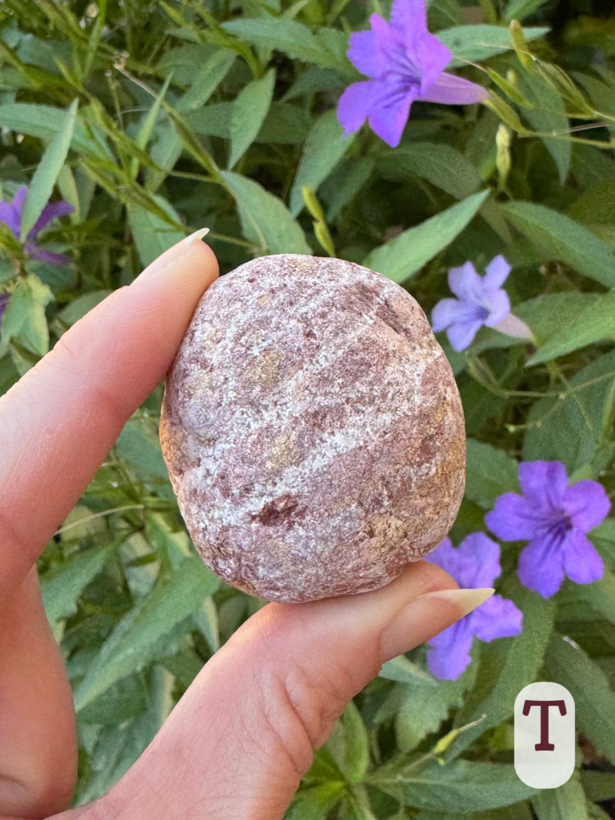 Option T, oval rock with mottled pinkish color, with yellow splotches and white stripes