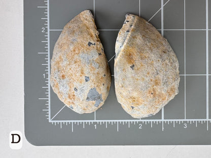 Option D: Scale image of the geode pair face-down on a measuring mat, measuring a bit over two inches in diameter.