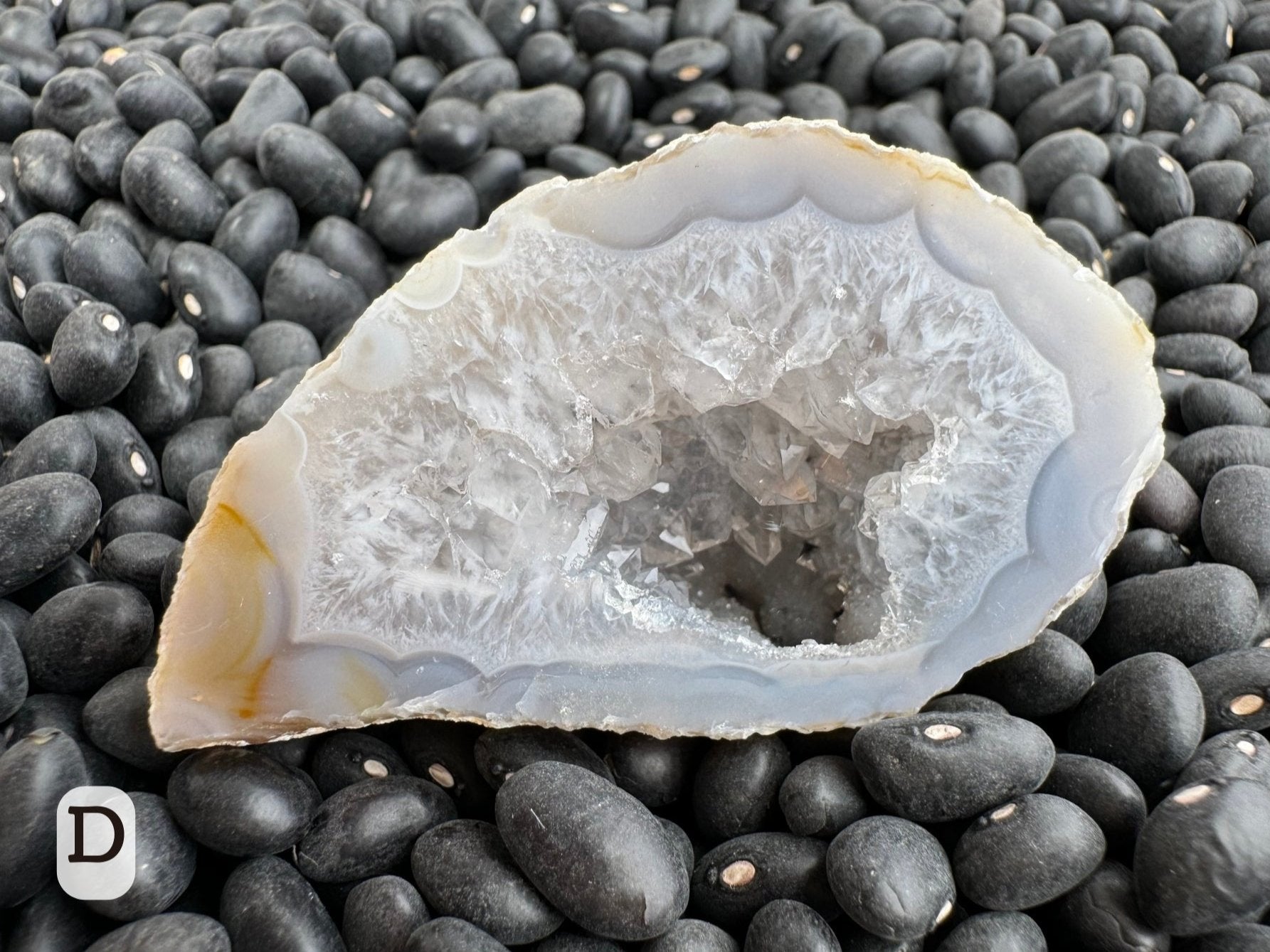 Option D: Detail of one half of the geode pair, with excellent white and colorless crackle-like pattern to the cross-section of quartz crystals. The border is a milky off-white with ringed agate patterns