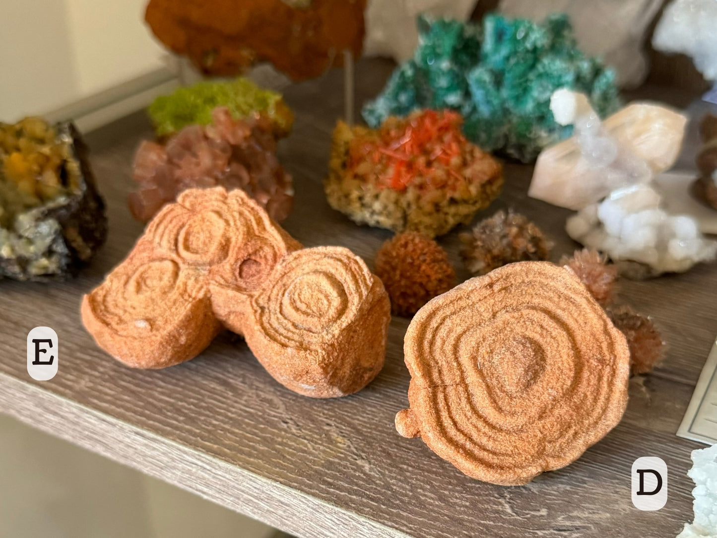 Two medium pseudo-stromatolites on a mineral shelf. The one on the left has four connected circular formations and is labeled E. The one on the right is a squared round with a small round bump on one side, labeled D.