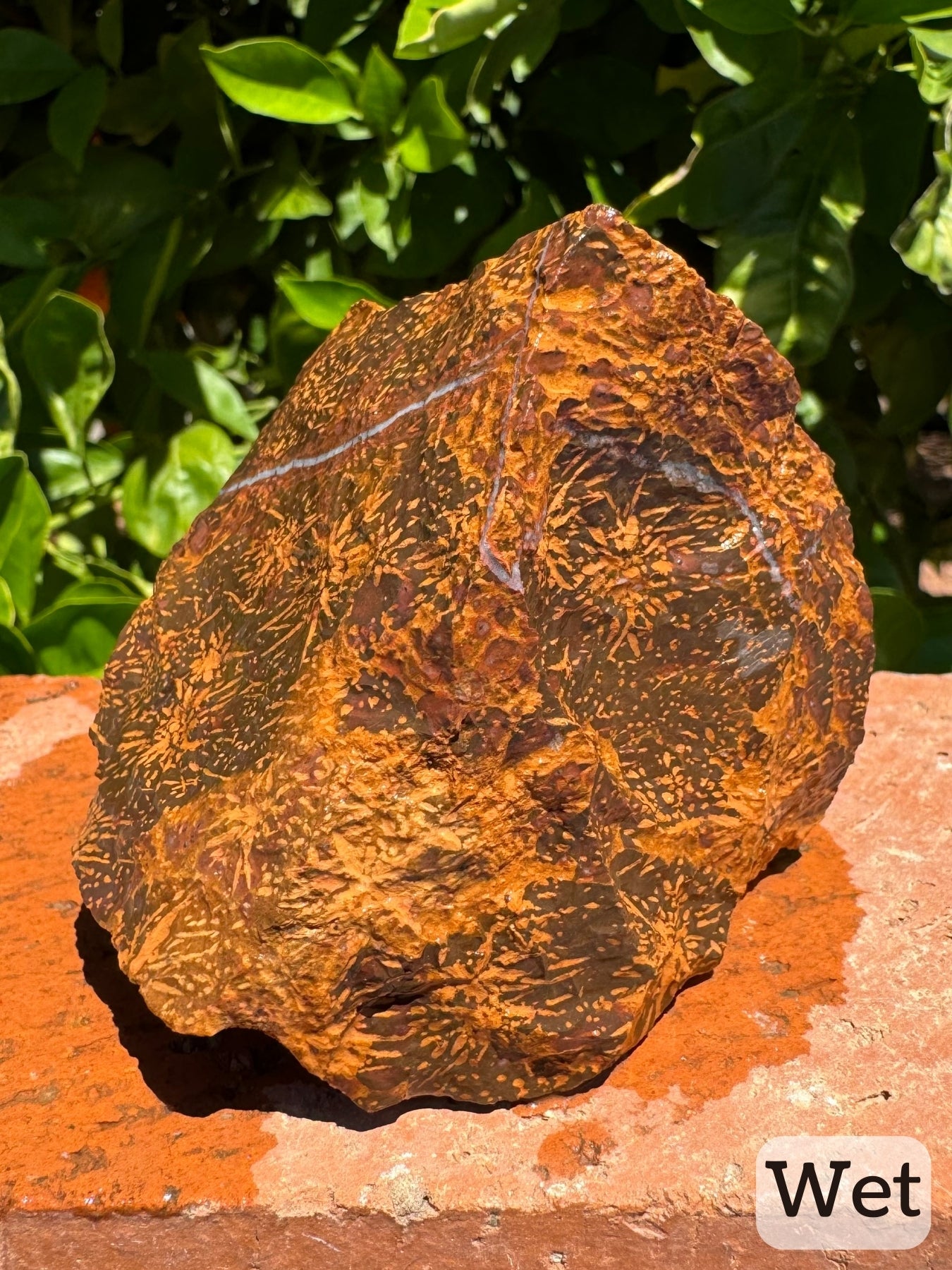 Captioned "wet," an angled view of the piece while wet showing white quartz veining in an irregular pattern, with saturated red and gold toned spotting