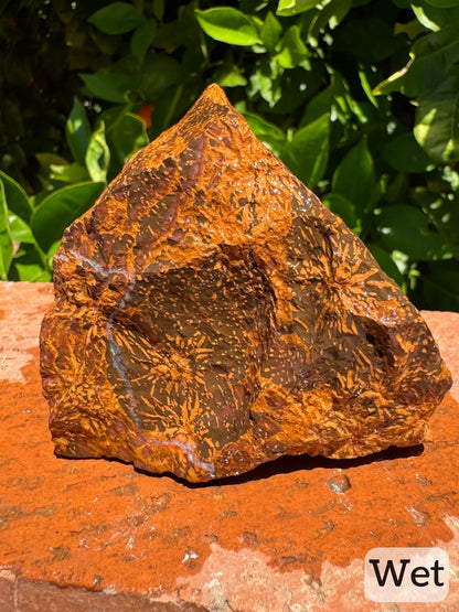 Captioned "wet," a triangular face of the piece while wet, showing interesting red and gold toned striping in the upper corner