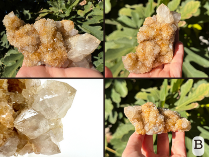 Option B, four views of a cactus quartz cluster with several short fat colorless quartz crystals on one end, and the rest of the piece covered with lumpy yellow quartz druzy.