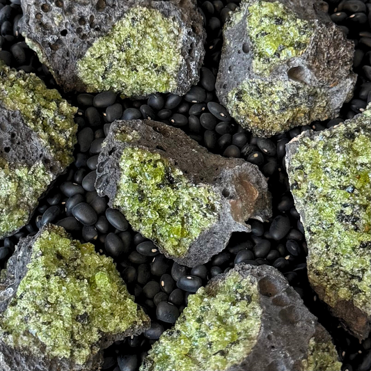 Several small pieces of peridotite in basalt, a near-black lava rock with pockets of small yellow-green crystals. They are spread on a background of black beans.