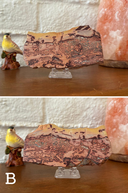 Jasper slice option B, which has the tint of yellow on one side fading into a peach background, with a lot of dark veining