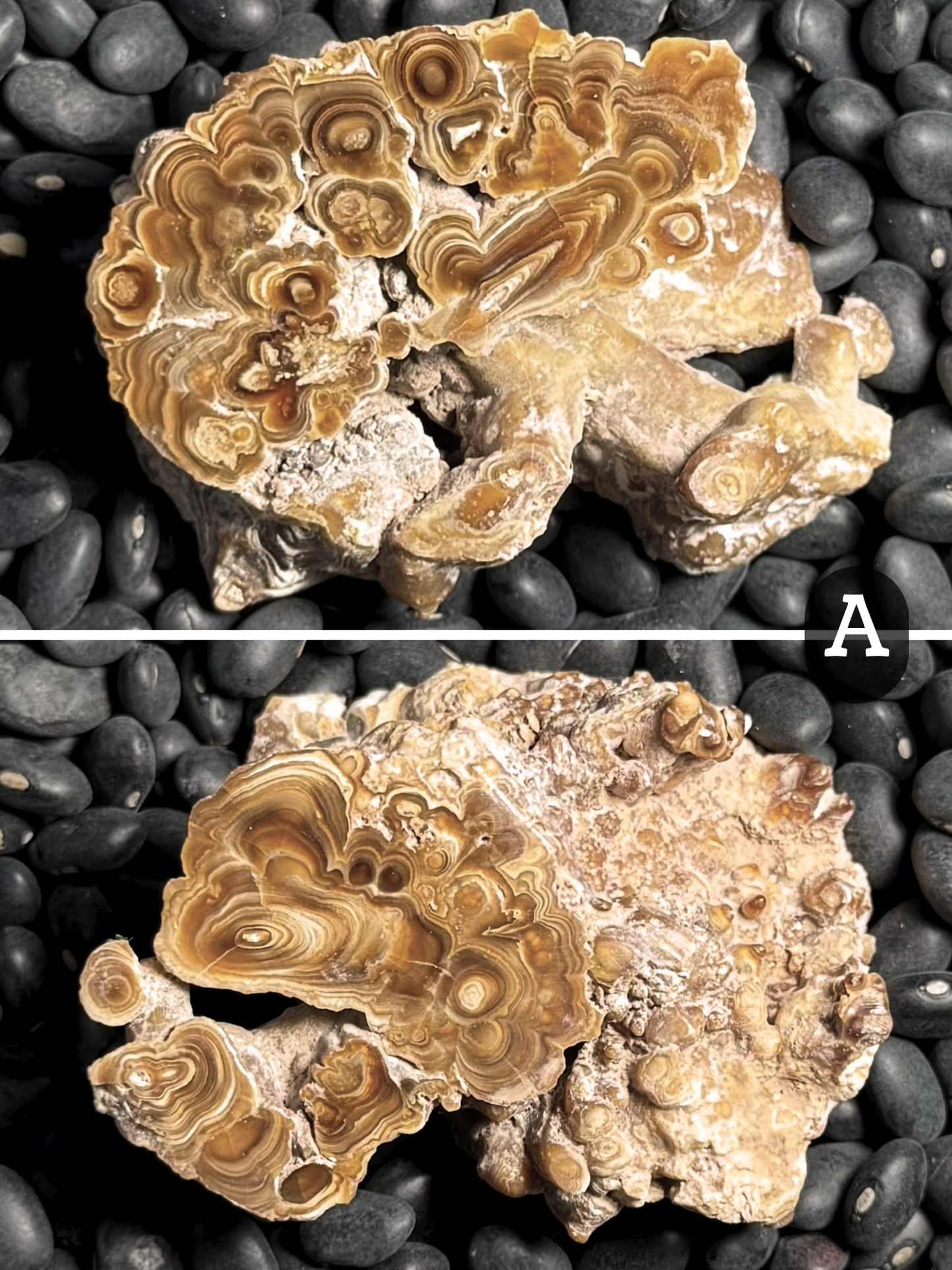 Aragonite cave formation, polished slice (small)