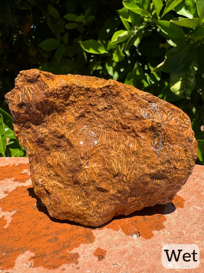 Captioned "wet," the backside of the piece wet, showing low-contrast starburst patterning on light brown background