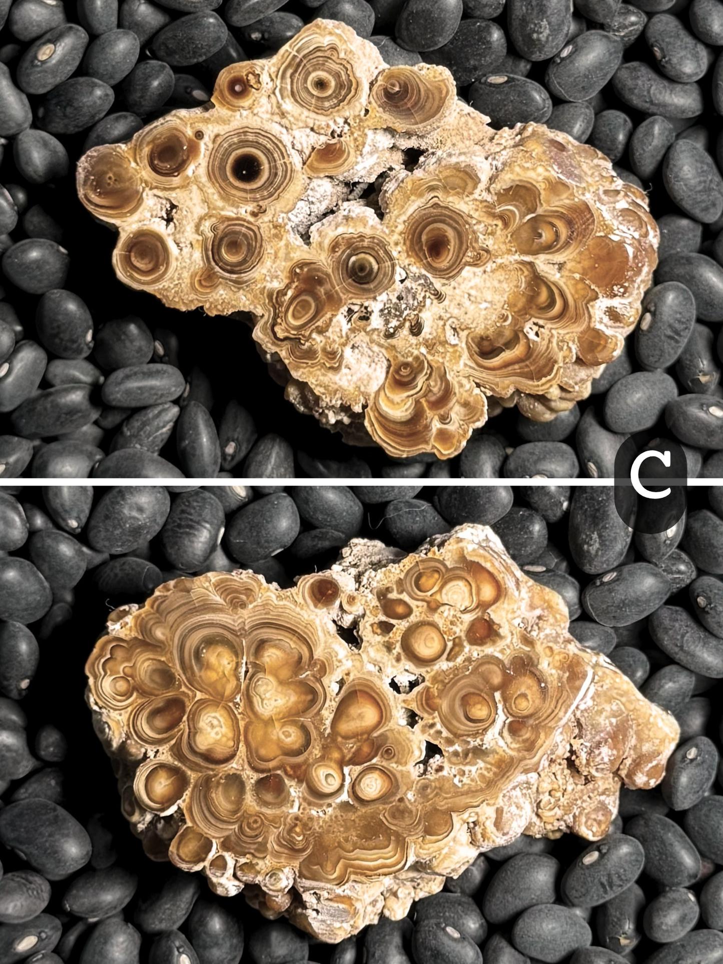 Aragonite cave formation, polished slice (small)