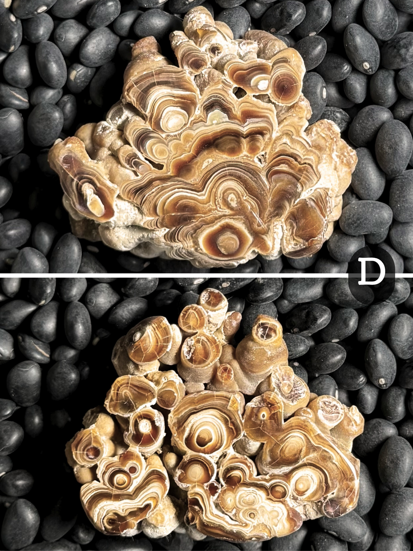 Aragonite cave formation, polished slice (small)
