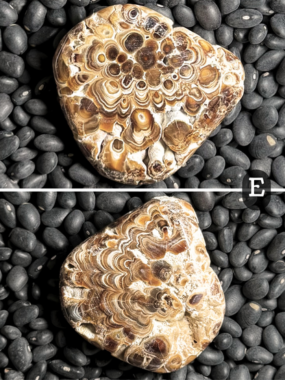 Aragonite cave formation, polished slice (small)