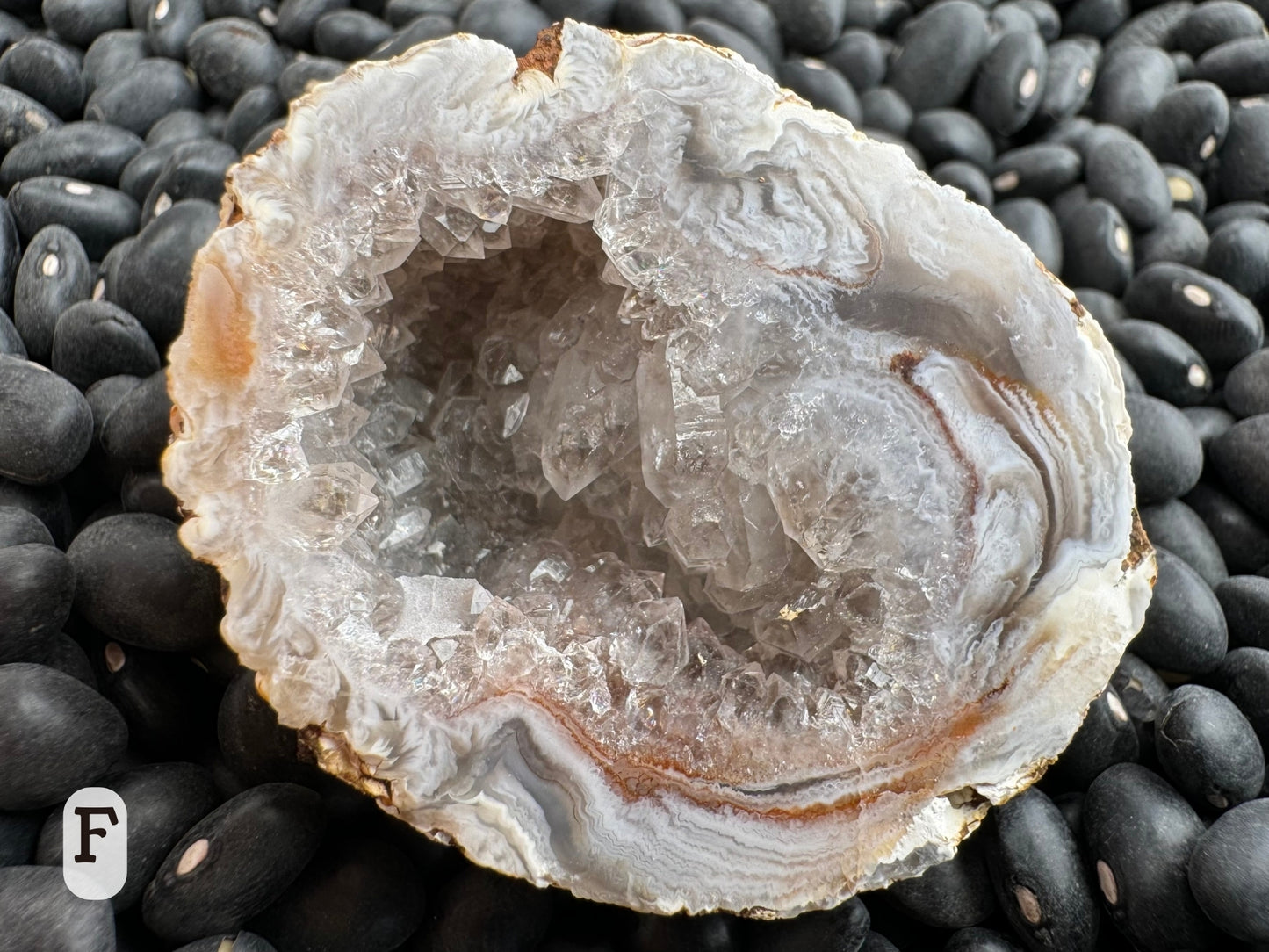 Option F: detail of the other half of the geode pair, with chunky quartz druzy lining the interior and the border a rippled white agate