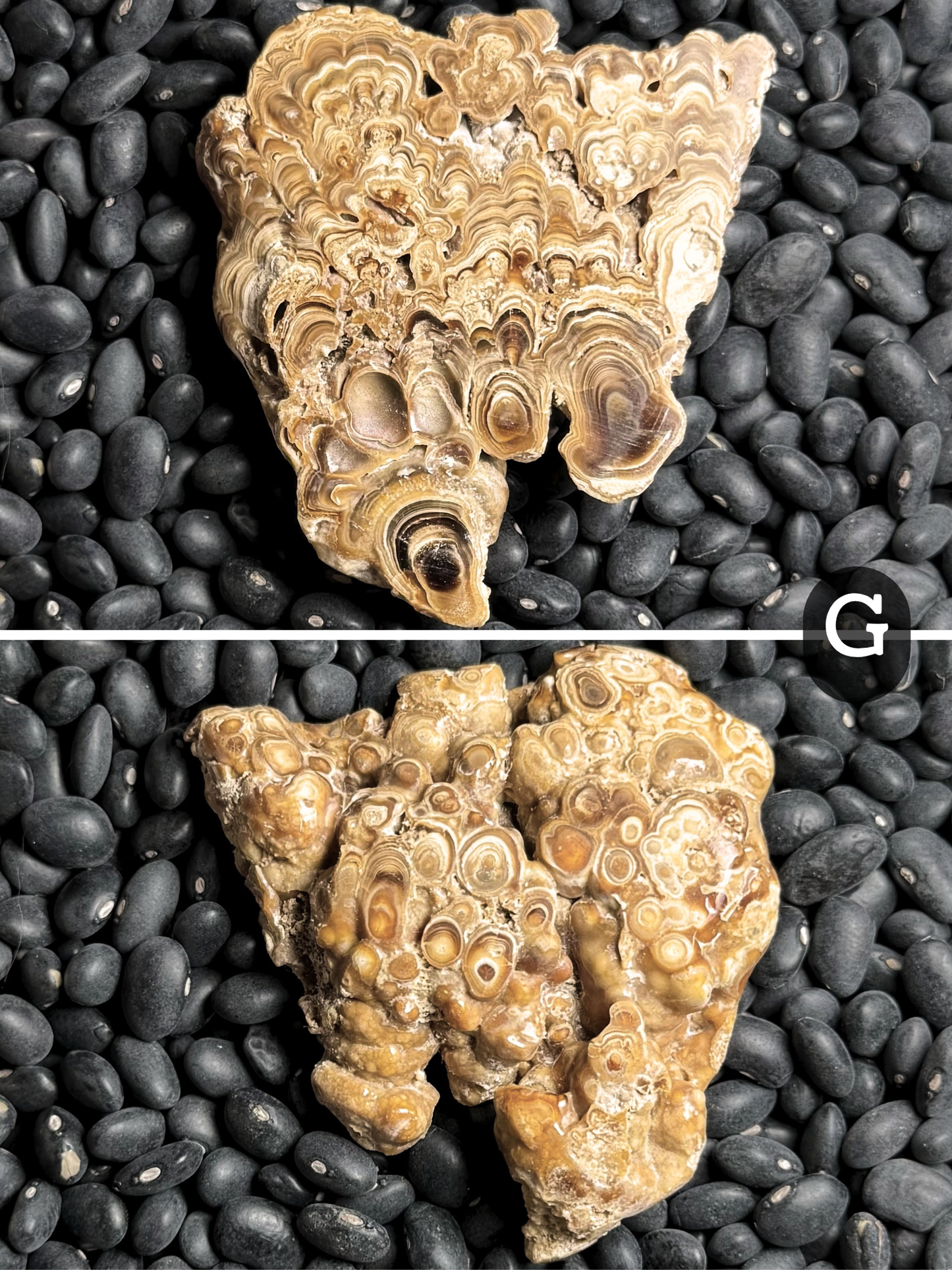 Aragonite cave formation, polished slice (small)