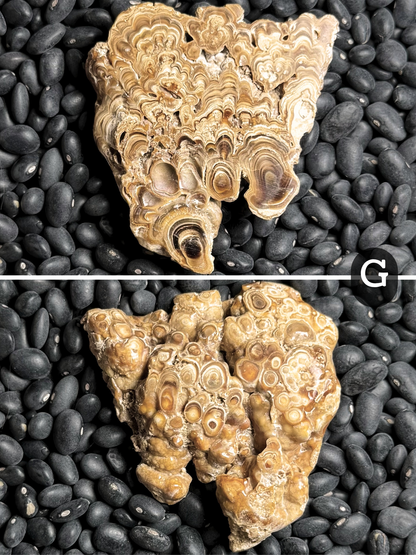Aragonite cave formation, polished slice (small)