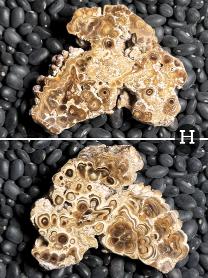 Aragonite cave formation, polished slice (small)