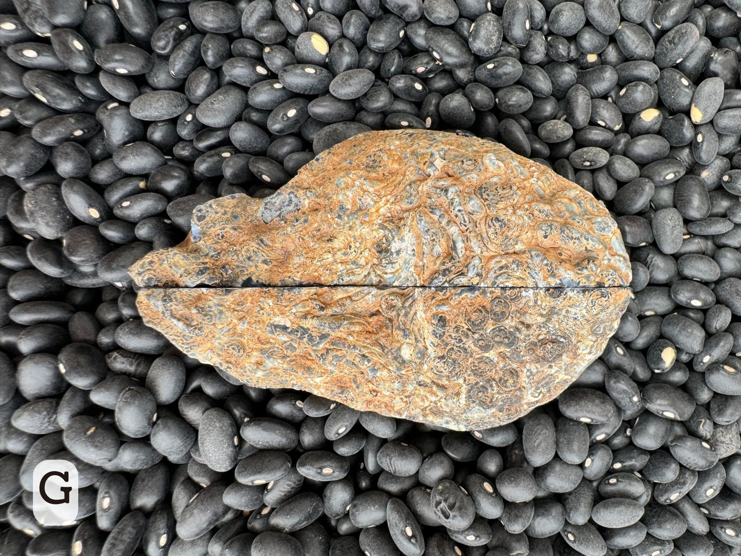 Option G: the geode with halves placed together closed, displaying the ring-like and ropy patterns of the exterior in gray and orange-brown.