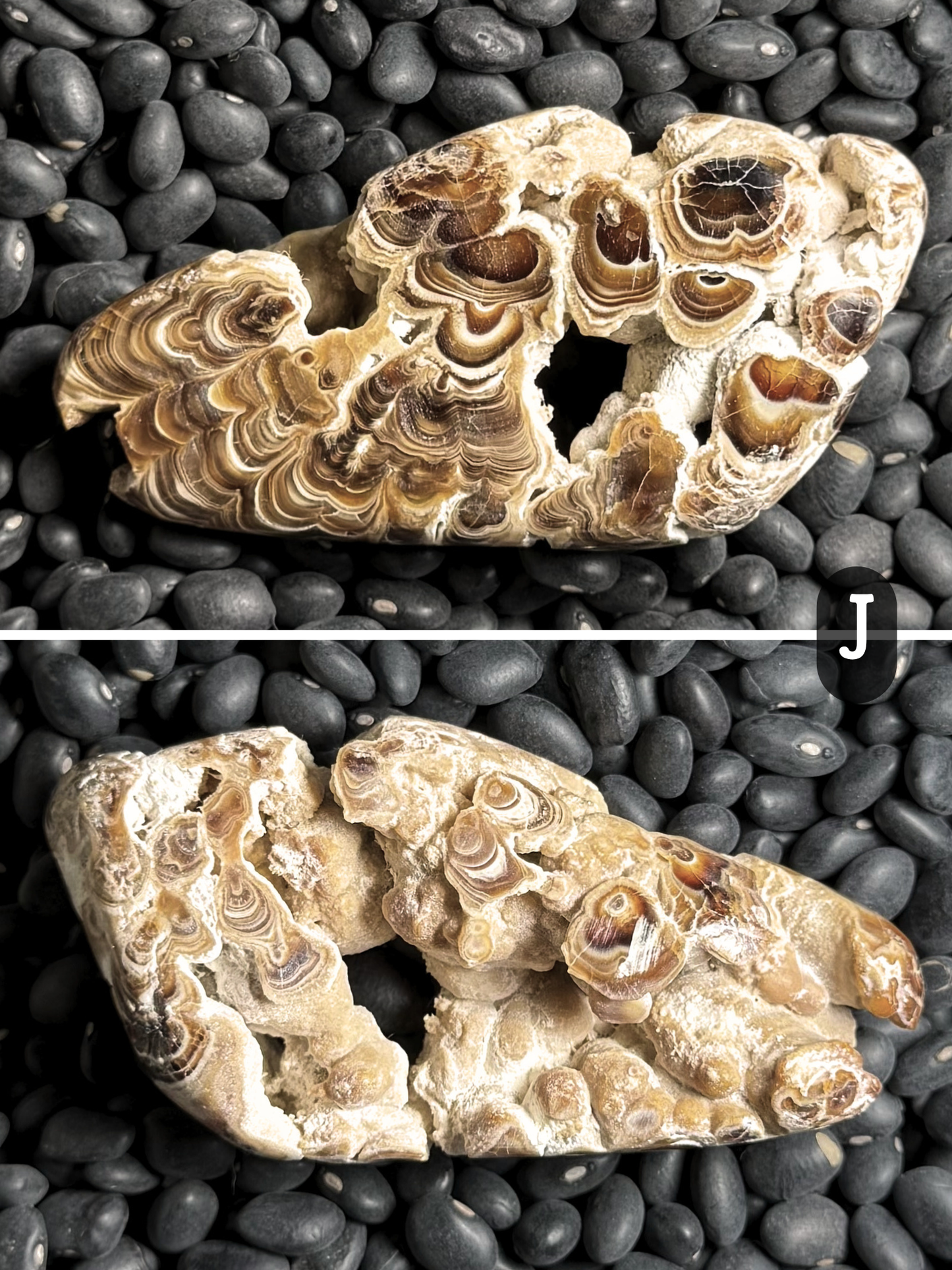 Aragonite cave formation, polished slice (small)