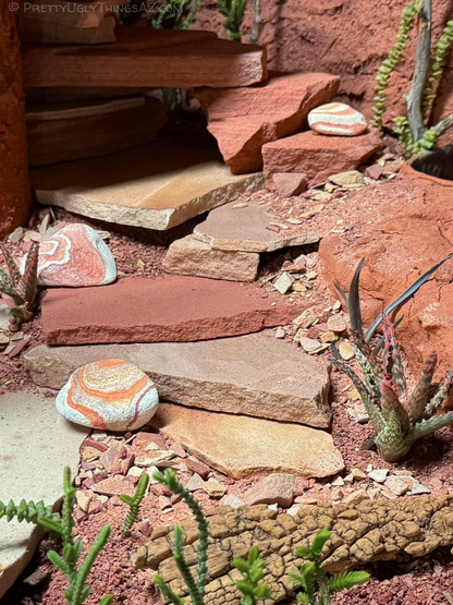 Arizona sandstone terrarium decor, bulk 18lb mixed colors