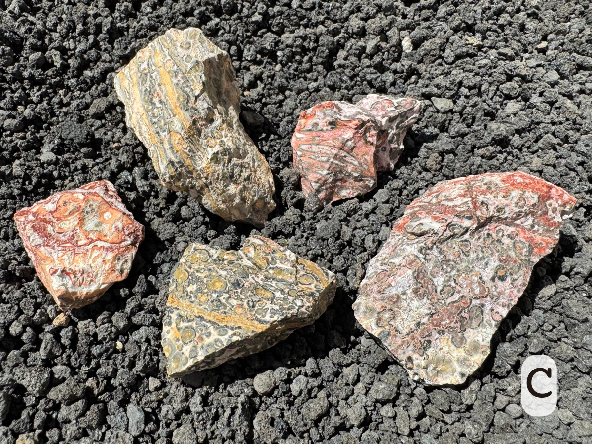 Option C, five pieces of rough. Two are typical yellow leopardskin pattern with banding. The other three are red, one heaving with banding and another with orange.