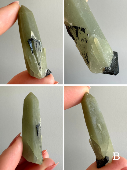 Option B, four views of a light greenish-gray point with good sprouting growth forms near the base. There is a black crystal at the base, and remnants of one in an impression on the face of the point. A powdered-sugar dusting of white points accompanies the black crystal and sprouting growth at the base