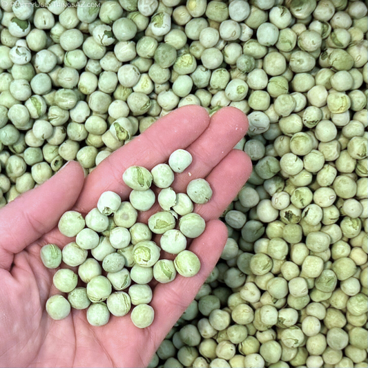 Isopod Nutrition: freeze-dried peas