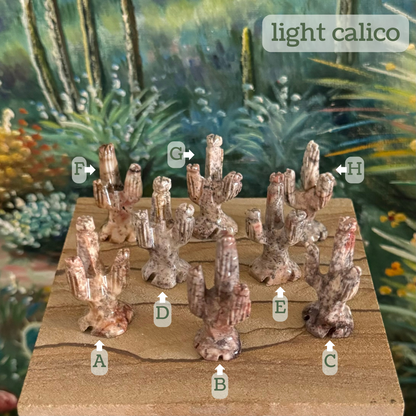 Captioned "light calico," eight saguaros labeled A through H. A is a fleshy tan with red-brown stripes and brown spotting. B is a warm gray with ping-tinted patches and dark spots. C is light cream with dark gray splotching. D is light gray with gray pepper spots. E is light gray with spots of gray and red tint, and darker gray pepper spots. F is cream with red tint and dark stripes. G is light tan with dark pepper spots. H is light cream striped with dark brown.