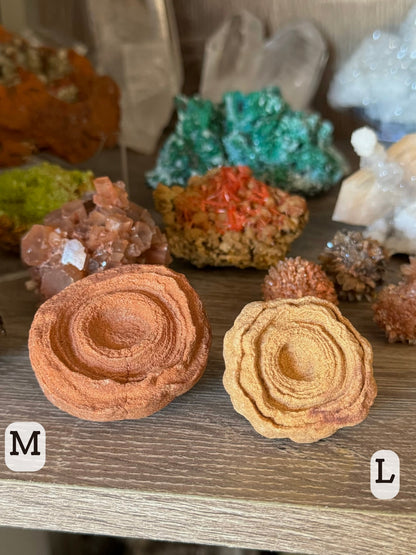 Two small round psuedo-stromatolites on a mineral shelf, the one on the left is red toned and labeled 'M' and the one on the right is yellow tinted and labeled 'L' 