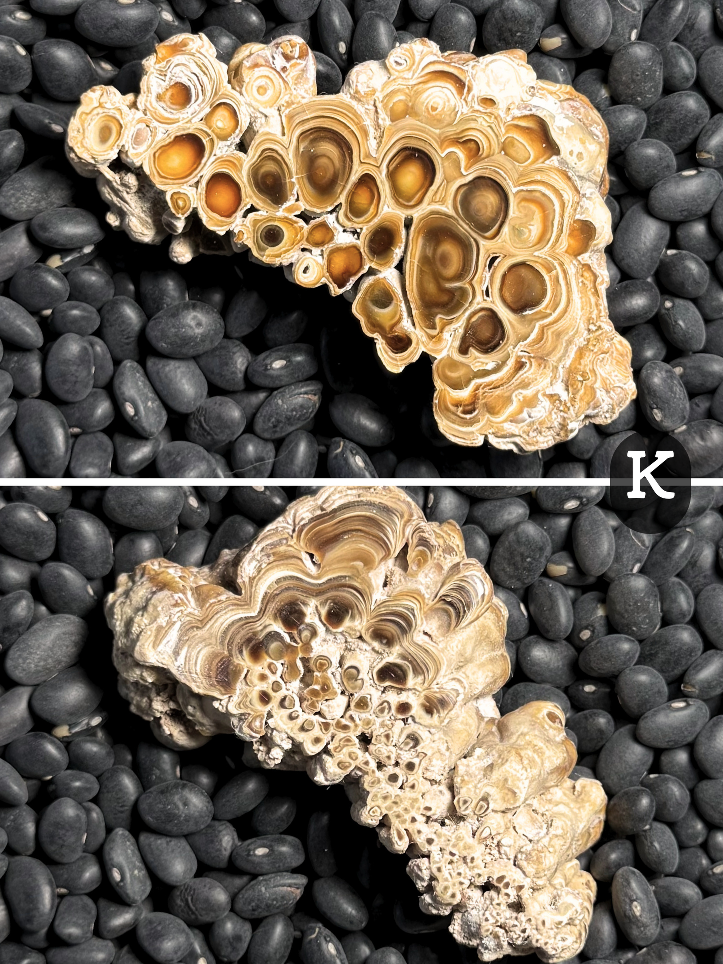 Aragonite cave formation, polished slice (small)