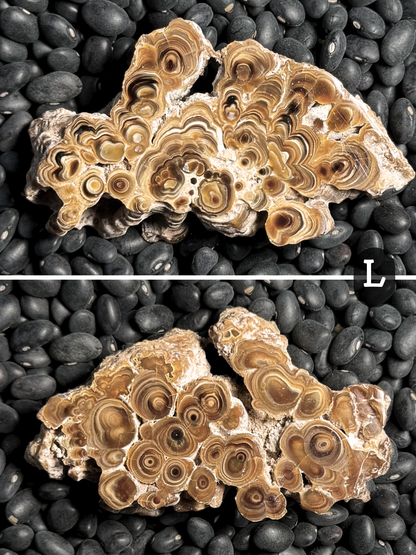 Aragonite cave formation, polished slice (small)