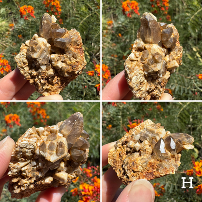 Microcline feldspar with smoky quartz