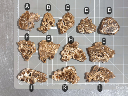 Aragonite cave formation, polished slice (small)