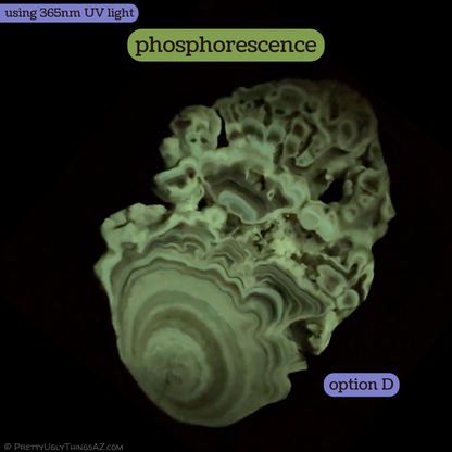 Aragonite cave formation, polished slice (medium)