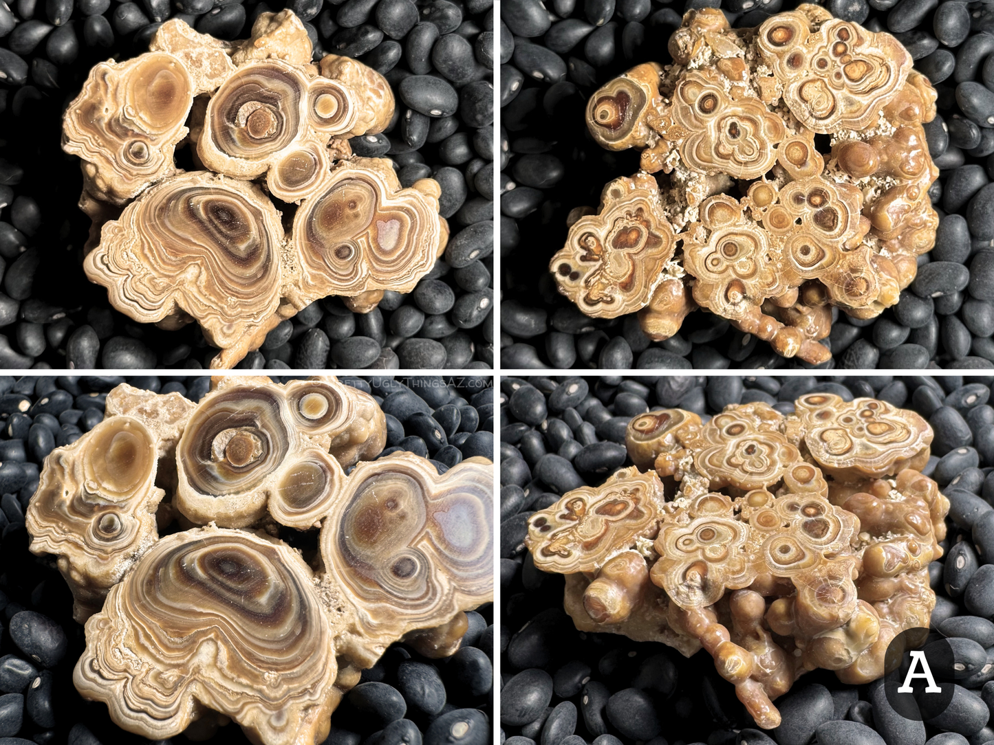 Aragonite cave formation, polished slice (medium)