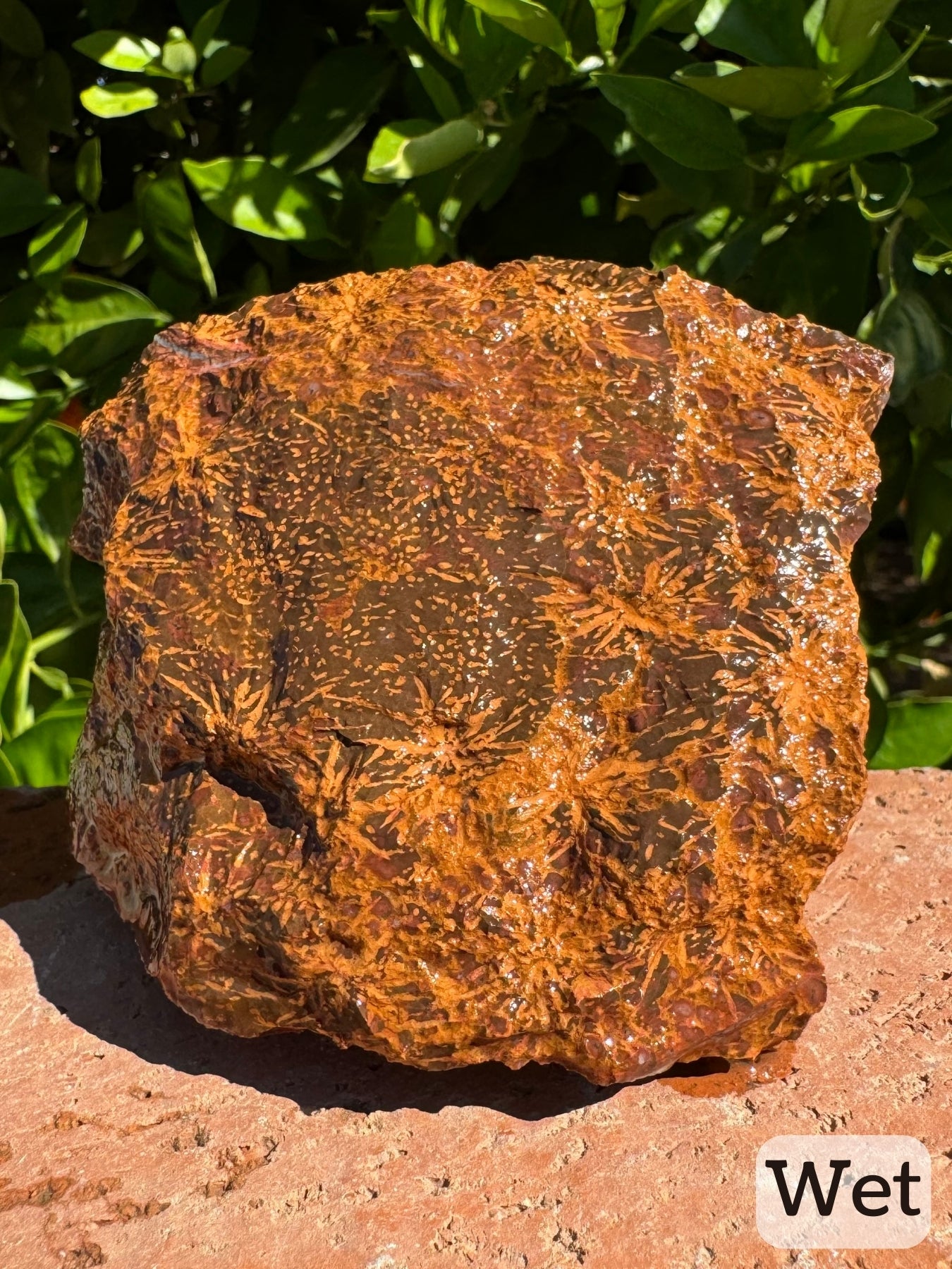 Captioned "wet," the main face of the piece while wet, stood on end. The pattern is a more vivid orange color compared to dry, with orange-toned starbursts on a brown and red-brown backgrounds.