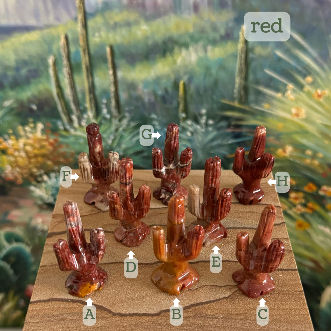 Captioned "red," eight saguaros labeled A through H. A is a deep red with patches of yellow and white. B is deep red on the tips but fades to orange at the base. C is a desaturated streaky dark red and orange. D is red-orange with light black and white stripes. E is part off-white, part deep red. F is a dark brick-red with cream colored arms and base. G is deep rep with vivd black and white striping. H is a deep brick red with a lighter tip.