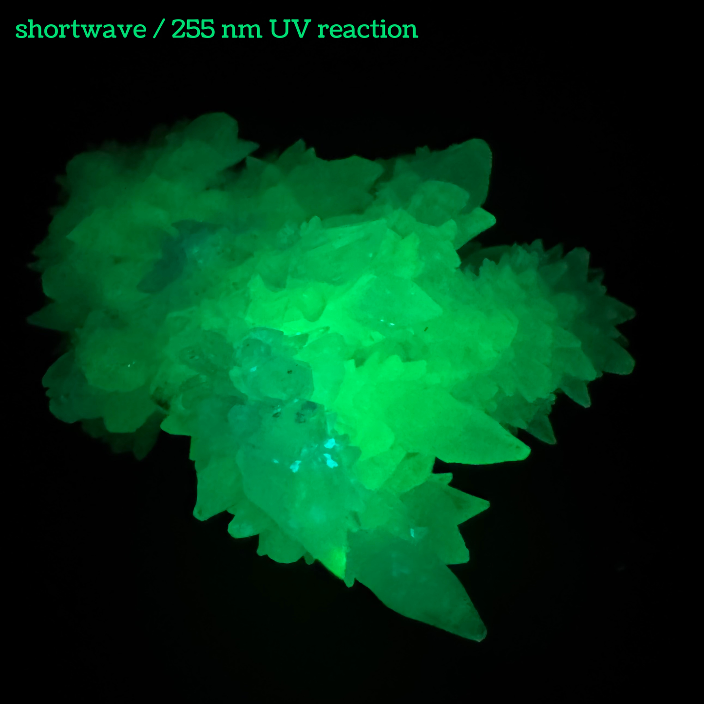 Aragonite stalactite "cave calcite," Santa Eulalia (medium)
