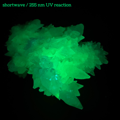Aragonite stalactite "cave calcite," Santa Eulalia (medium)