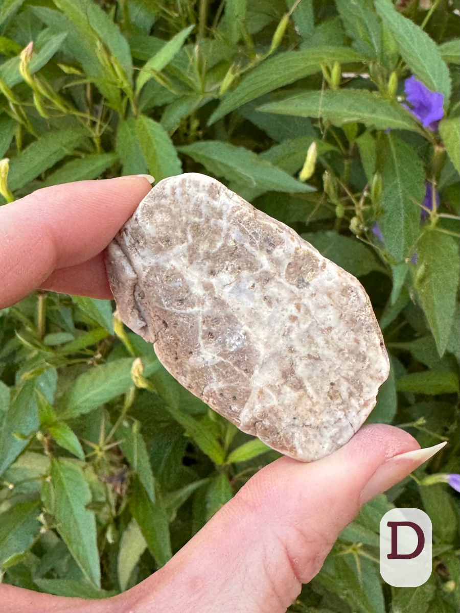 Option D, a rectangular rock with light taupe color and white veining.